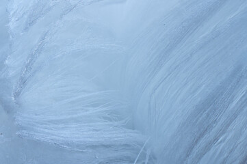close-up of ice beard water lines frozen