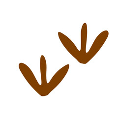 Walking track animals paw
