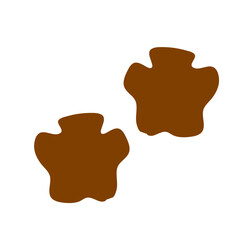 Walking track animals paw
