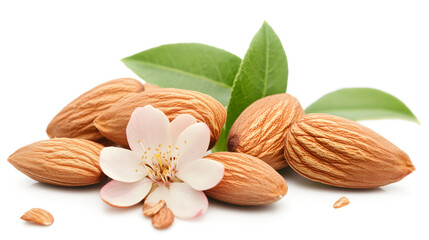 A bunch of almonds and a flower are on a white background. The almonds are scattered around the flower, and the flower is in the center. Concept of freshness and natural beauty, as the almonds