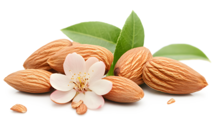 A bunch of almonds and a flower are on a white background. The almonds are scattered around the flower, and the flower is in the center. Concept of freshness and natural beauty, as the almonds