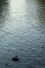 The reflection of the sun's rays in the water. The surface of the river illuminated by the sun's rays at sunset.
