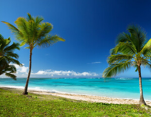 Fototapeta premium Generated image 青い海とヤシの木