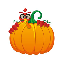 peeping_turkey_pumkin