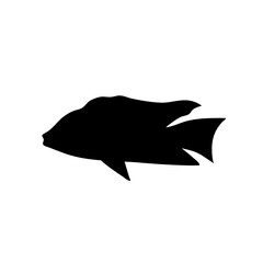 Fish sea silhouette vector
