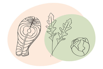 Freehand Outline Salmon steak Brussels Sprout Head Arugula Abstract spot Healthy food highlight idea
