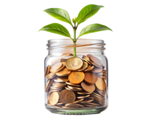 Plant growing from coins in glass jar isolated on a transparent background