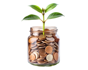 Plant growing from coins in glass jar isolated on a transparent background