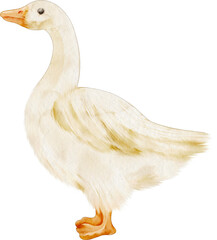 watercolor goose © Je