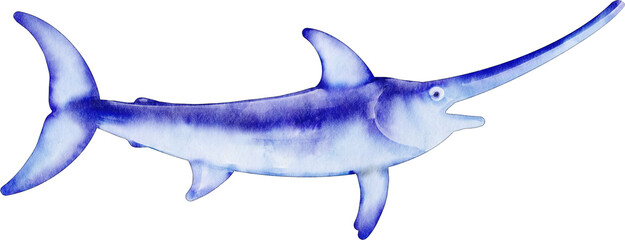 watercolor swordfish