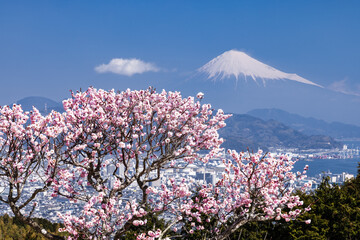 日本平からの富士山の眺め