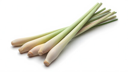 bundle of lemongrass stalks with pale green and slightly fibrous texture