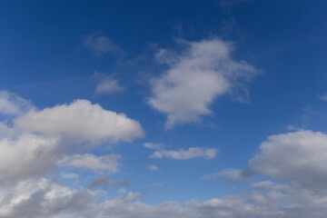 Fototapeta premium Beautiful blue sky with few clouds.