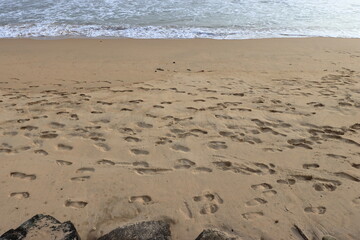Footsteps on the beach stock photo