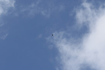 Kite Flying High in the Blue Sky with Clouds