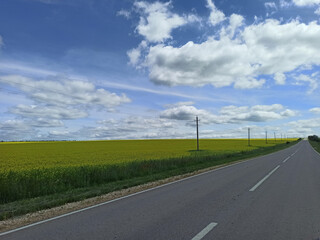 Fototapeta premium Wide open road stretches through vibrant green fields under a blue sky