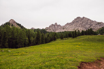 Fototapeta premium nature sceneries along the trail to Lagusel lake inside Val San Nicolò, Pozza di Fassa, Dolomites, Italy