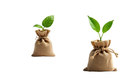 plant sack (png)