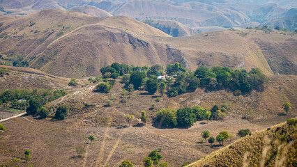 East Sumba, East Nusa Tenggara , Indonesia &ndash;  07. 25. 2024 &ndash; Surrounded by a savannah field with dry, brown grass due to the scorching heat, there are still green shallot plants growing 