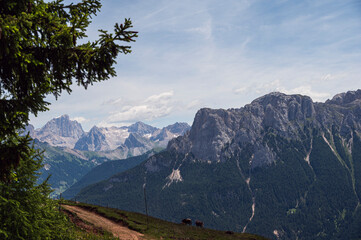 nature sceneries along the trail starting from the Costalunga Pass, Sen Jan di Fassa, Dolomites, Italy © fruttuoso