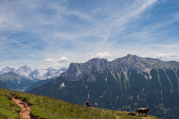 nature sceneries along the trail starting from the Costalunga Pass, Sen Jan di Fassa, Dolomites, Italy © fruttuoso