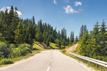 Road in Bosnia and Herzegovina, Europe. Scenic highway winds through a lush evergreen forest under...
