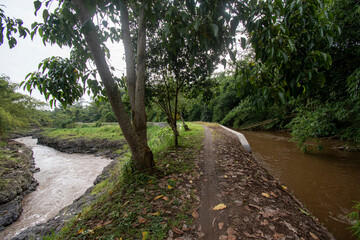 Obraz premium Footpath along the river. The small road is still dirt