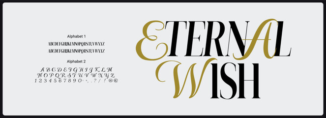 Font duo vector. Alphabet modern elegant serif with regular and italic uppercase. Alphabet elegant script font with uppercase and number. 