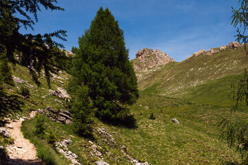 nature sceneries along the trail starting from the Costalunga Pass, Sen Jan di Fassa, Dolomites, Italy © fruttuoso