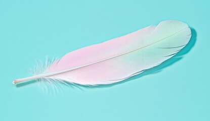 Obraz premium Pastel feather on a mint green background. Delicate, soft, vibrant colours blend seamlessly. A single feather, highlighting the beauty of nature's artistry