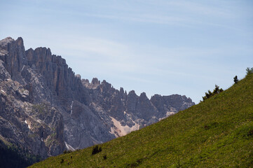 Fototapeta premium nature sceneries along the trail starting from the Costalunga Pass, Sen Jan di Fassa, Dolomites, Italy