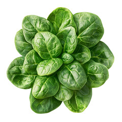 Fototapeta premium Photography of Spinach Superfood on Plain White Transparent Background