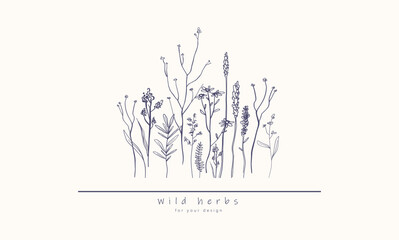 Minimal elegant style organic illustration, Wild field flora, herbs, flowers, leaf branches Botanical hand drawn line art design for logo, wedding, invitation, label, banner, print, decor, cosmetics
