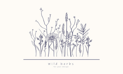 Minimal elegant style organic illustration, Wild field flora, herbs, flowers, leaf branches Botanical hand drawn line art design for logo, wedding, invitation, label, banner, print, decor, cosmetics