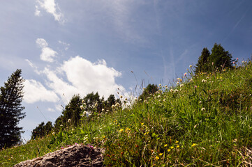 nature sceneries along the trail starting from the Costalunga Pass, Sen Jan di Fassa, Dolomites, Italy © fruttuoso