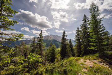 nature sceneries along the trail starting from the Costalunga Pass, Sen Jan di Fassa, Dolomites, Italy © fruttuoso