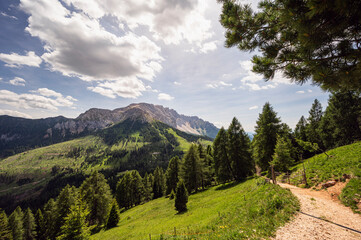 nature sceneries along the trail starting from the Costalunga Pass, Sen Jan di Fassa, Dolomites, Italy