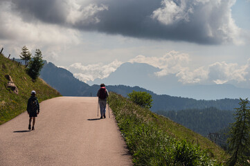 nature sceneries along the trail to Fuciade Refuge, San Pellegrino Pass, Moena, Dolomites, Italy