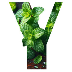 Letter y