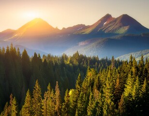 idyllic view of forest by mountain during sunrise