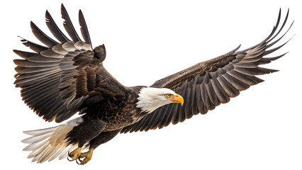 Obraz premium A majestic bald eagle in powerful flight, wings outstretched against a pure white background, showcasing its incredible strength and grace.
