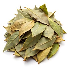 pile of dried bay leaves isolated white background
