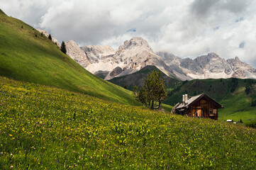 nature sceneries along the trail to Fuciade Refuge, San Pellegrino Pass, Moena, Dolomites, Italy