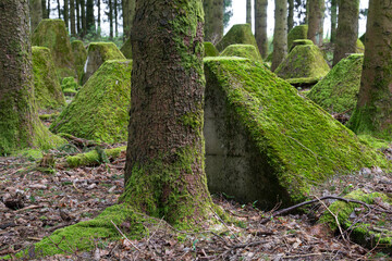 Westwall, Eifel, North Rhine Westphalia, Germany