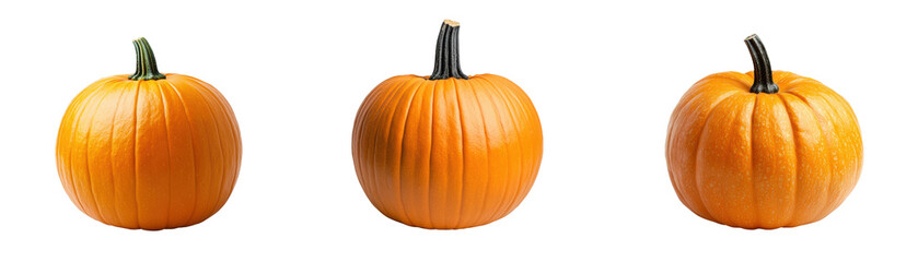 Obraz premium Golden trio: A close-up shot displays three vibrant pumpkins side by side, each one a symbol of harvest and autumn, showcasing their textured surfaces and stems against a simple backdrop.