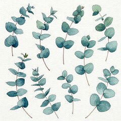 set of green leaves Watercolor green eucalyptus leaves and branches  image