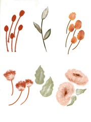 set of flowers isolated