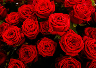 bouquet of red roses