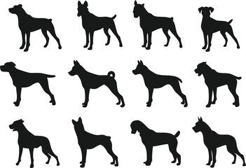 A set of simple black silhouettes of different dog breeds, presented in profile view.