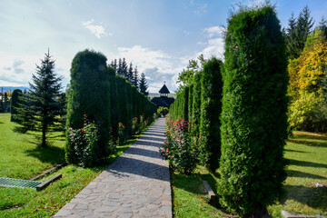 path in the park